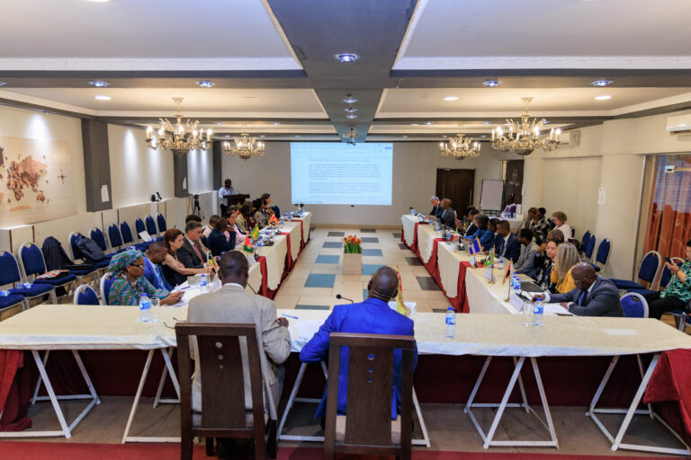 v-reunio-ordinria-do-consan-da-cplp_85_54656349027_o